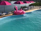    ,   (Flamingo beach club)