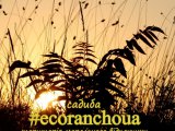    -, #ecoranchoua